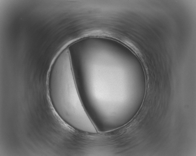 X0000075361392200609080827