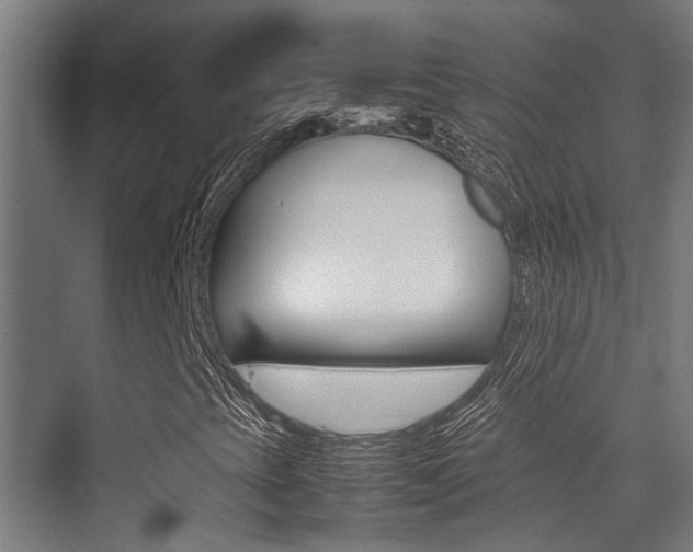 X0000075361393200609080826
