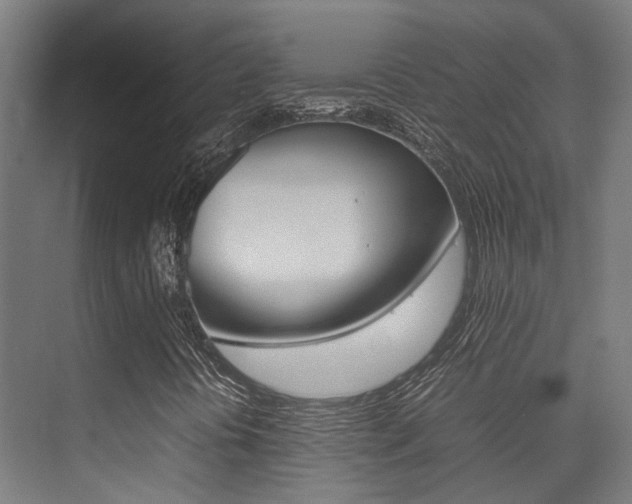 X0000075361394200609080826