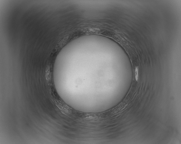 X0000075361395200609080826