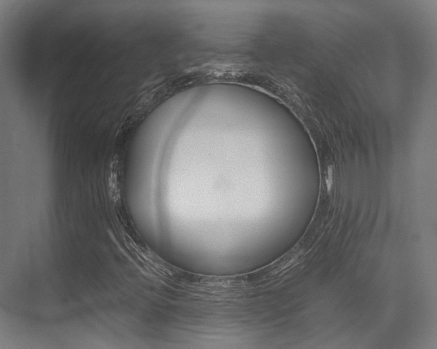 X0000075361396200609080826