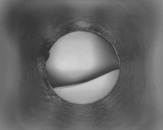 X0000075361397200609080826