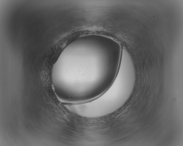 X0000075361398200609080826