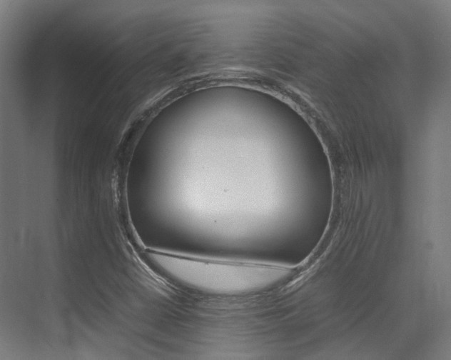 X0000075361402200609080826