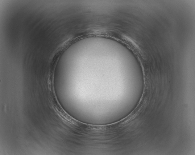 X0000075361403200609080826