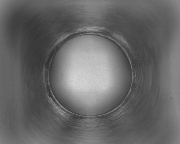 X0000075361404200609080826