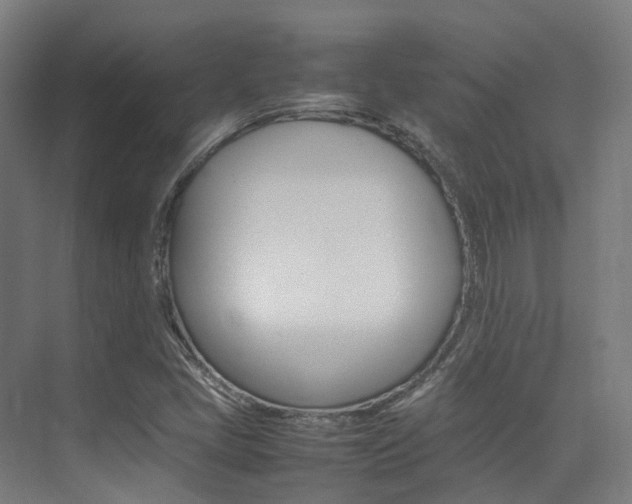 X0000075361405200609080826