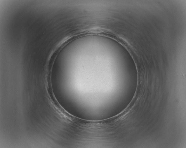 X0000075361410200609080827