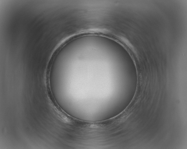 X0000075361412200609080827