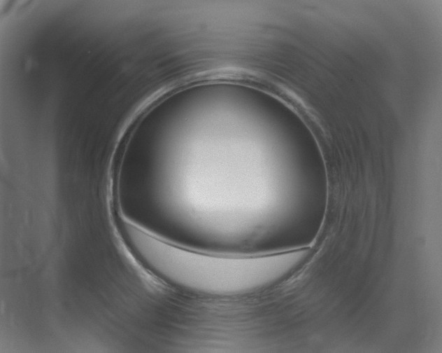 X0000075361418200609080827