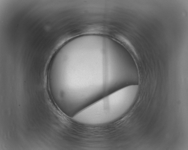 X0000075361419200609080827