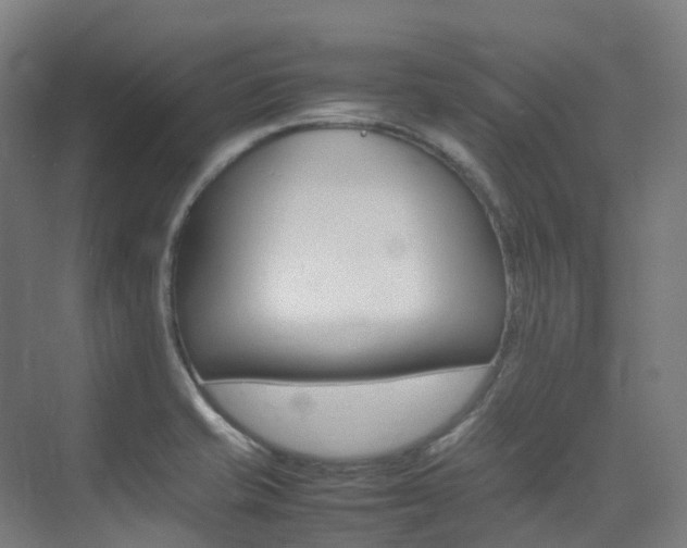 X0000075361421200609080827