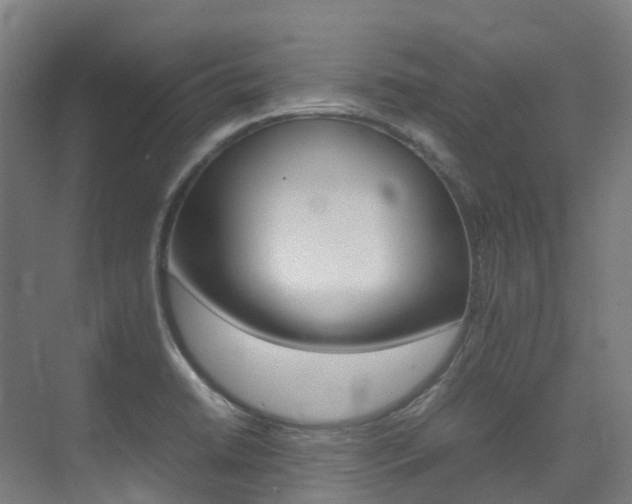 X0000075361422200609080827