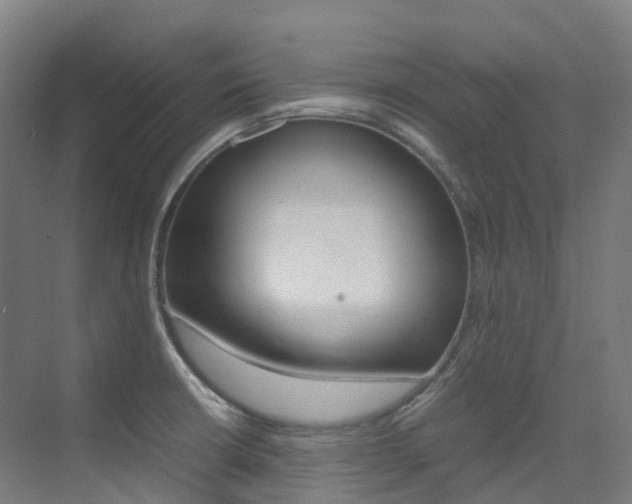 X0000075361426200609080827