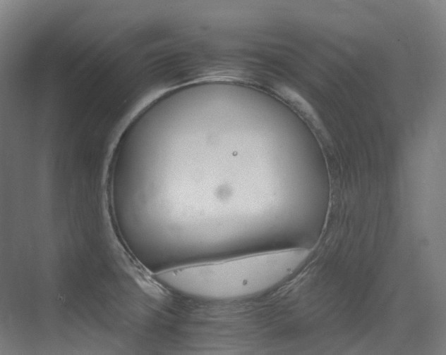 X0000075361427200609080827