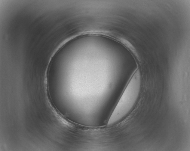 X0000075361428200609080827