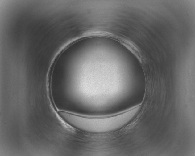 X0000075361430200609080827