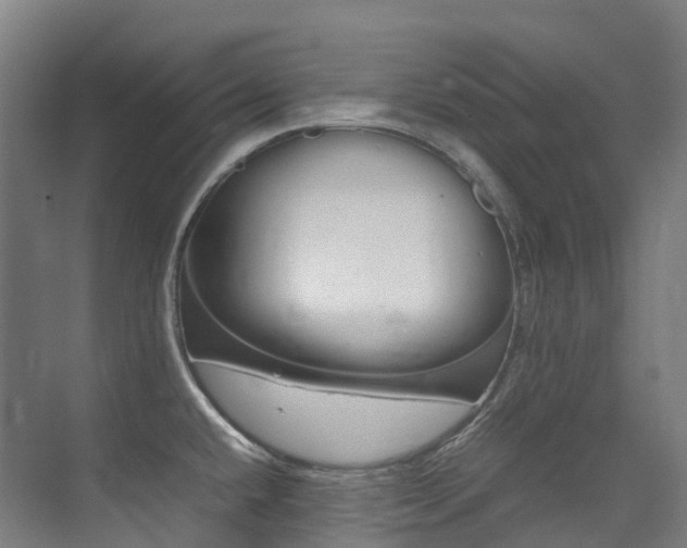 X0000075361432200609080827