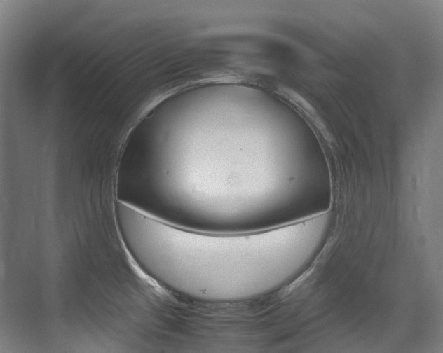 X0000075361433200609080827