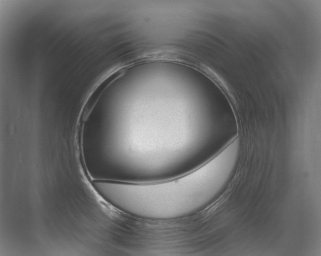 X0000075361434200609080827