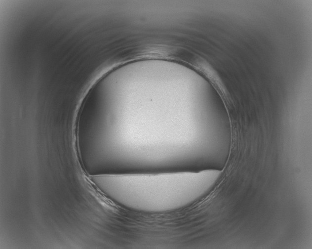 X0000075361435200609080827