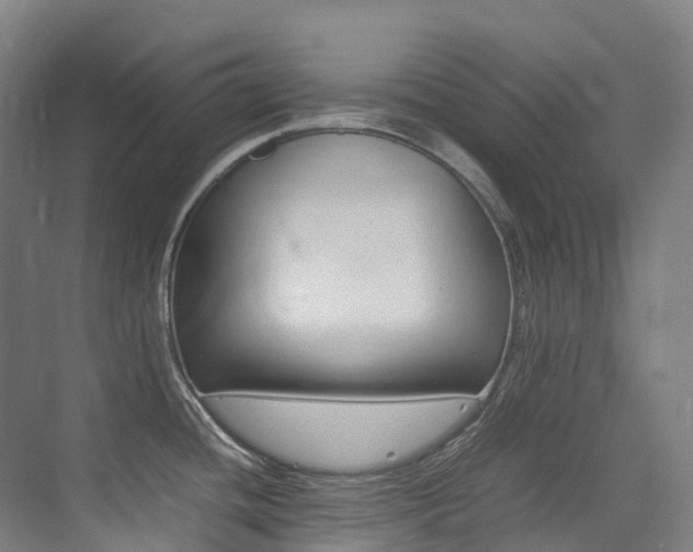 X0000075361436200609080827