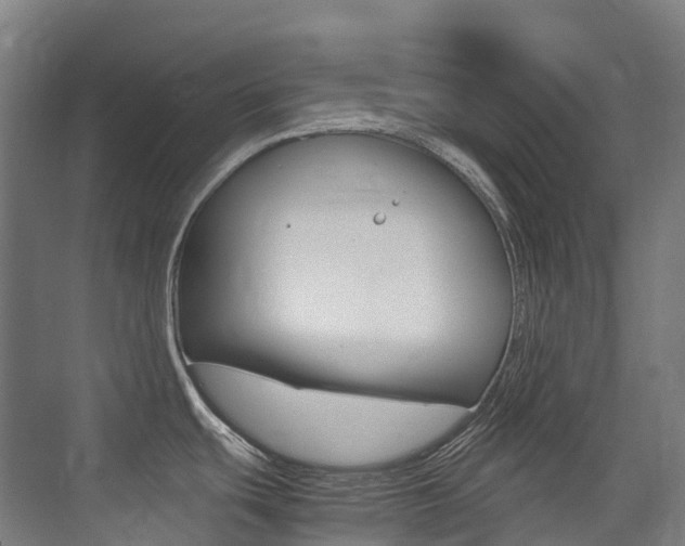 X0000075361439200609080827