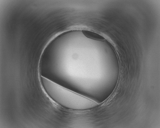 X0000075361440200609080827