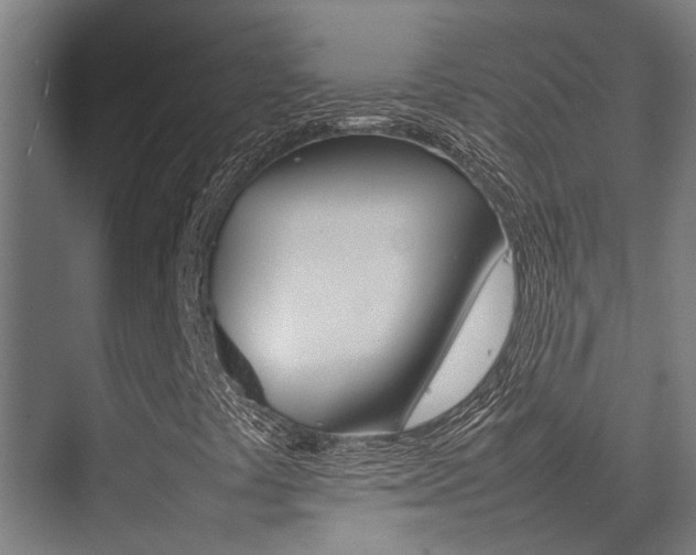 X0000075361441200609080826