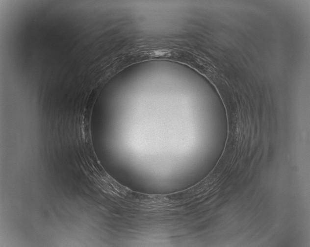X0000075361442200609080826
