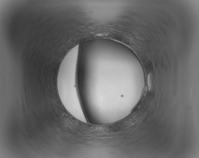X0000075361443200609080826