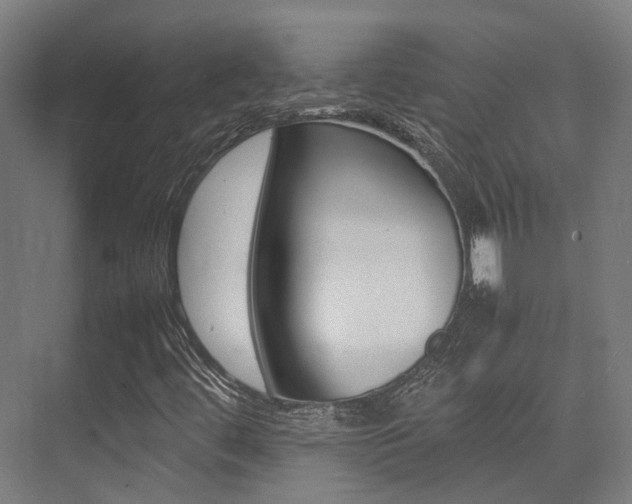 X0000075361444200609080826
