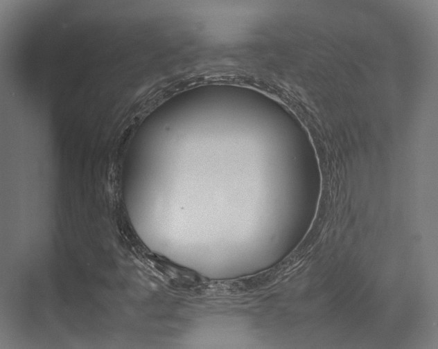 X0000075361445200609080826
