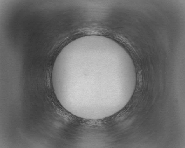 X0000075361446200609080826