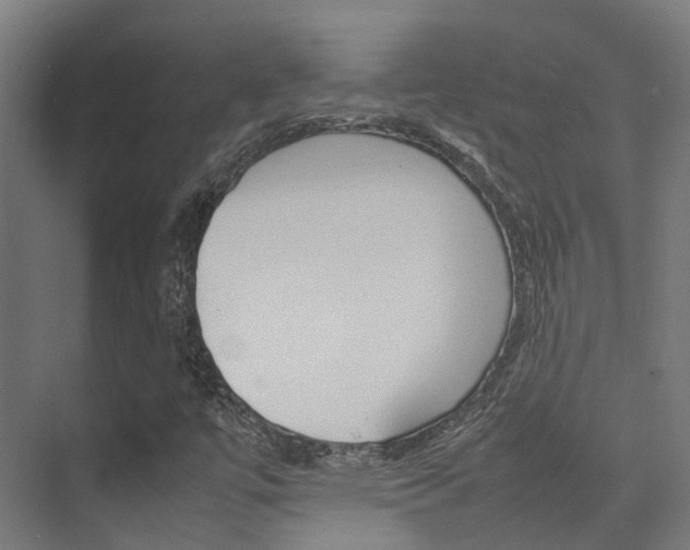 X0000075361447200609080826