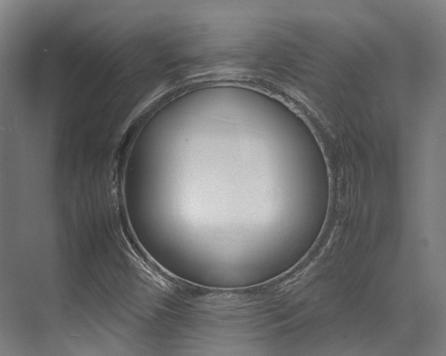 X0000075361450200609080826