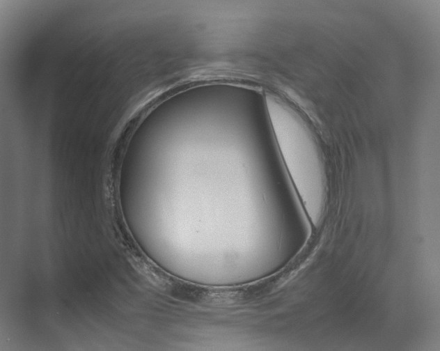 X0000075361453200609080826