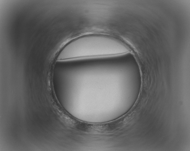 X0000075361455200609080826