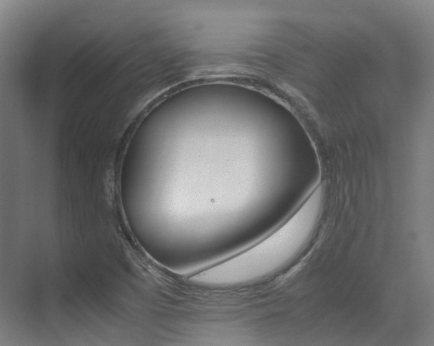 X0000075361457200609080826