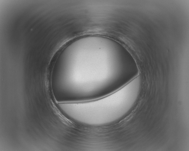 X0000075361458200609080826