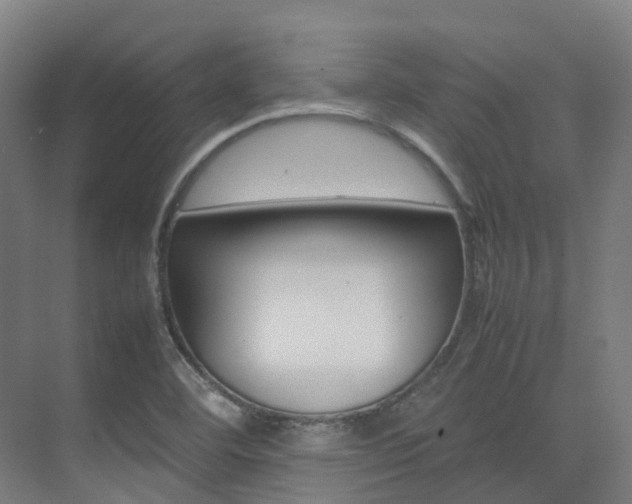 X0000075361460200609080826
