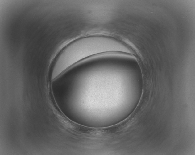 X0000075361461200609080826