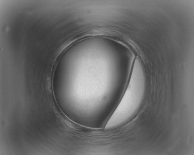 X0000075361465200609080826
