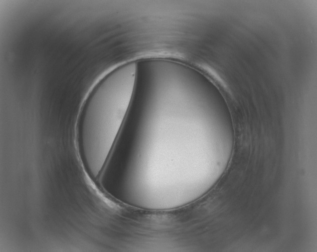 X0000075361468200609080826