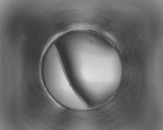 X0000075361472200609080826