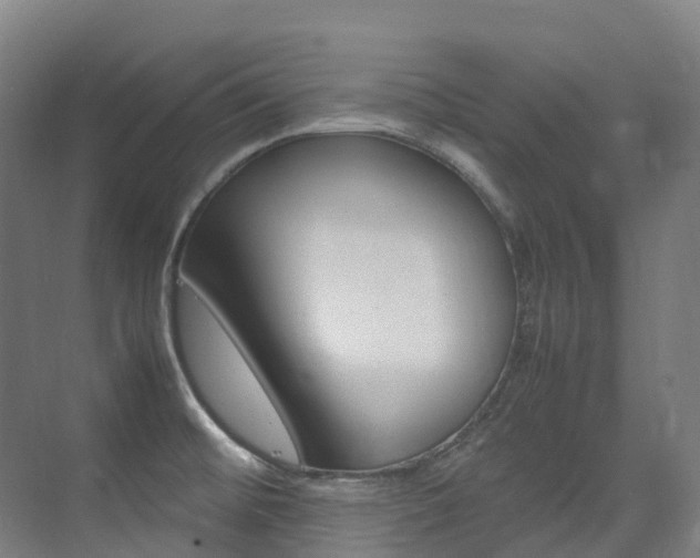 X0000075361476200609080826