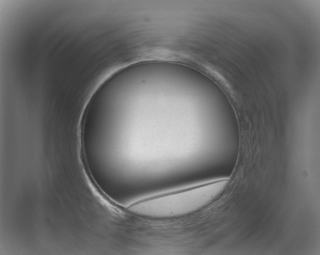 X0000075361479200609080826