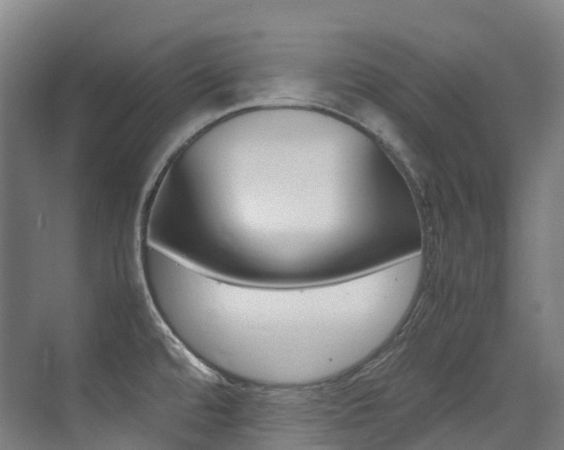 X0000075361480200609080826