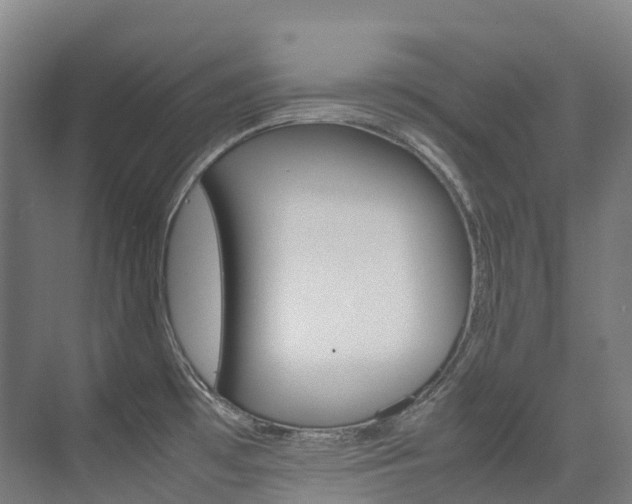 X0000075361481200609080826