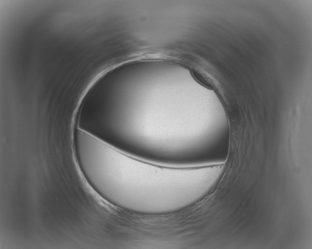 X0000075361483200609080826